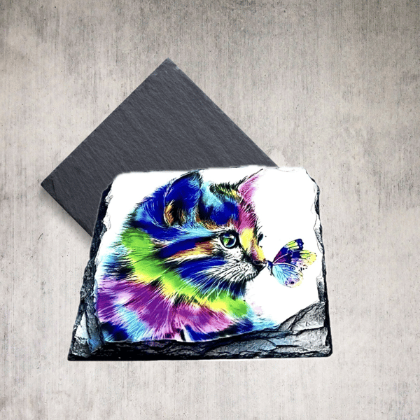 Rainbow cat and butterfly coaster, Vibrant rock slate cat lover gift