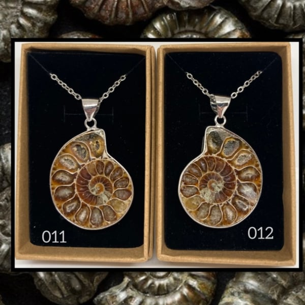 Fossil ammonite pendant necklace