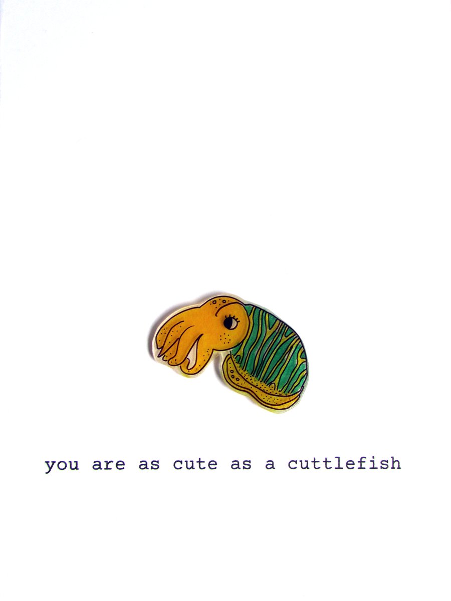 card - you are as cute as a cuttlefish