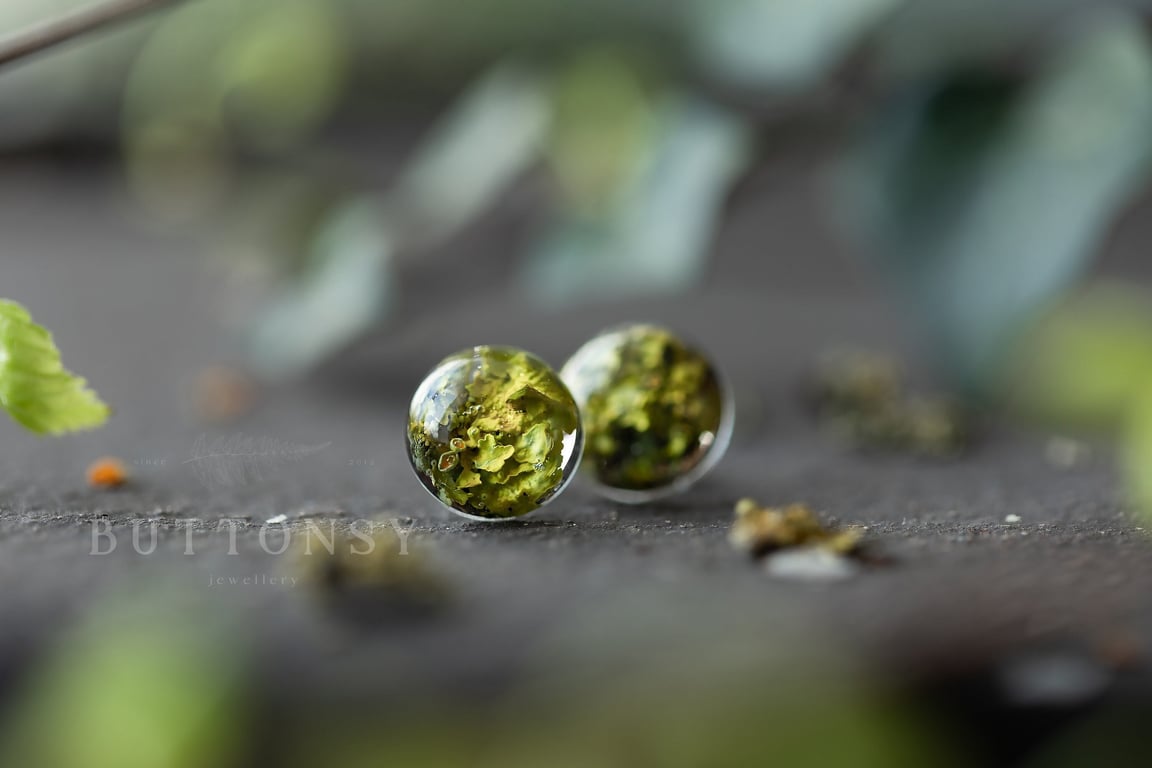 Lichen Earrings Round Studs Botanical Jewellery Pressed Flowers Nature Jewellery