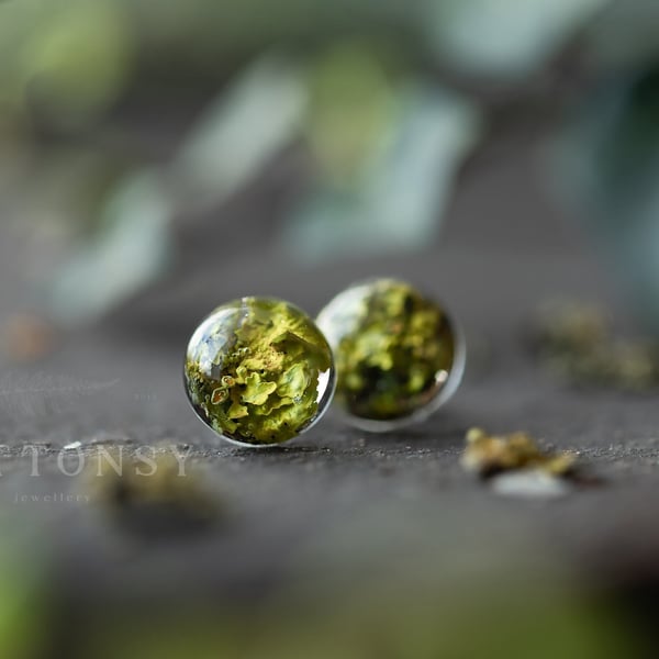 Lichen Earrings Round Studs Botanical Jewellery Pressed Flowers Nature Jewellery