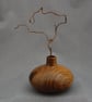 Bud Vase in Handsome Laburnum Wood - Image 5