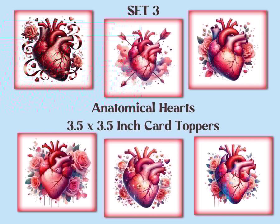 Anatomical Hearts Square Card Toppers Valentine's Card Making, Tags, Scrapbooks
