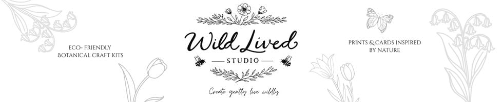 Wild lived studio