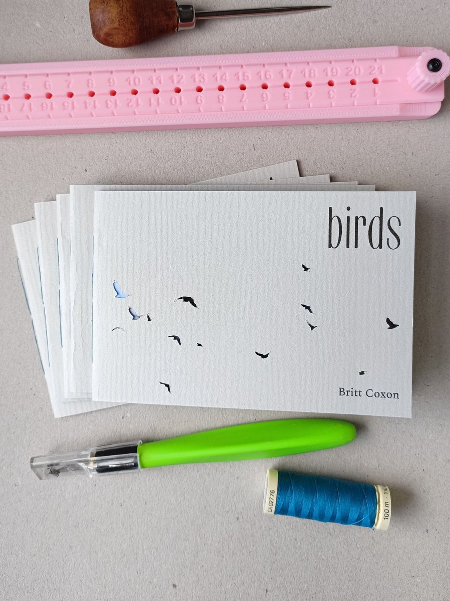 birds zine