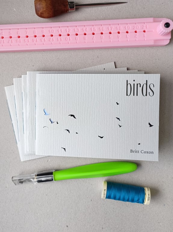birds zine