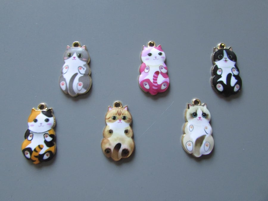 Cat Charms available in 6 designs