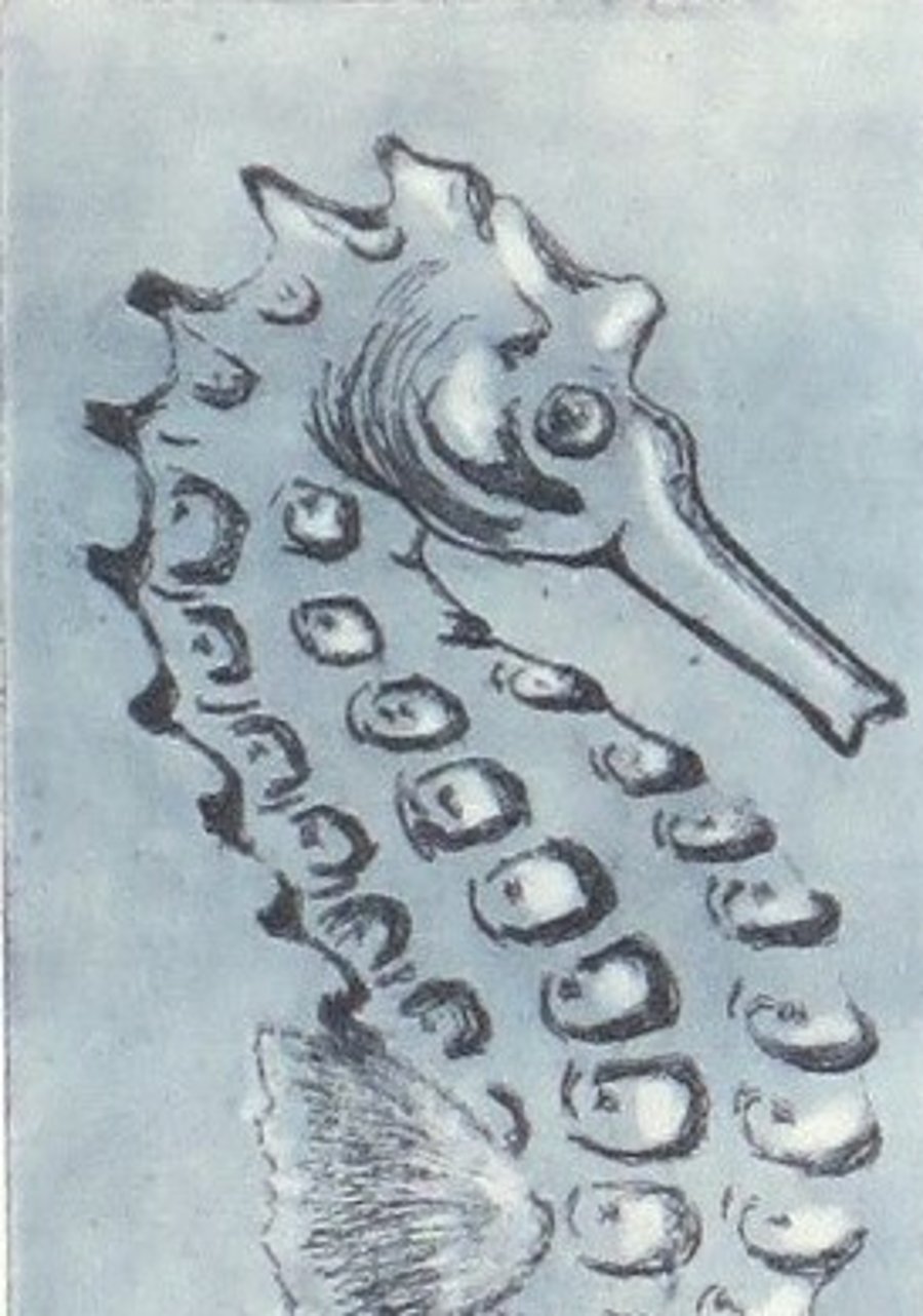 Original etching seahorse study original print limited edition