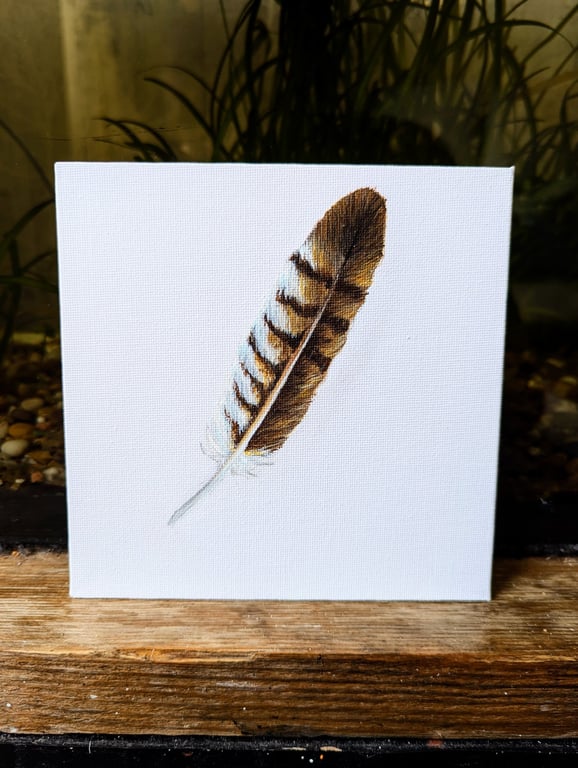 Common Buzzard Feather Acrylic Painting 