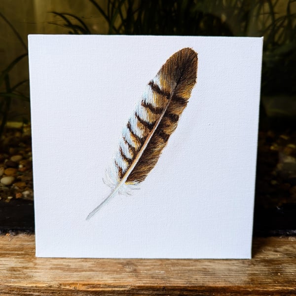 Common Buzzard Feather Acrylic Painting 