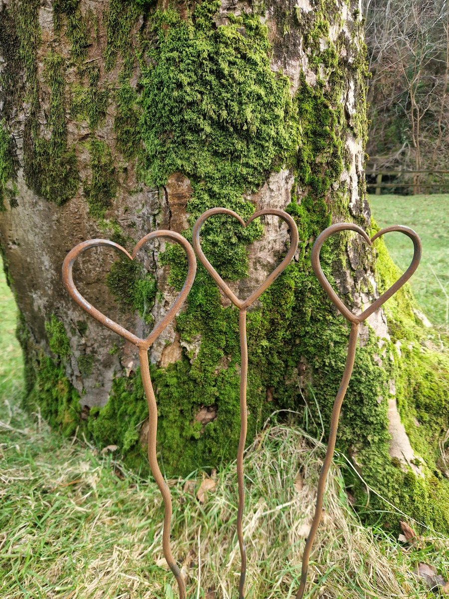 Wiggly Garden Hearts Hand Forged Plant Supports Love Heart Ornament Rustic 58cm