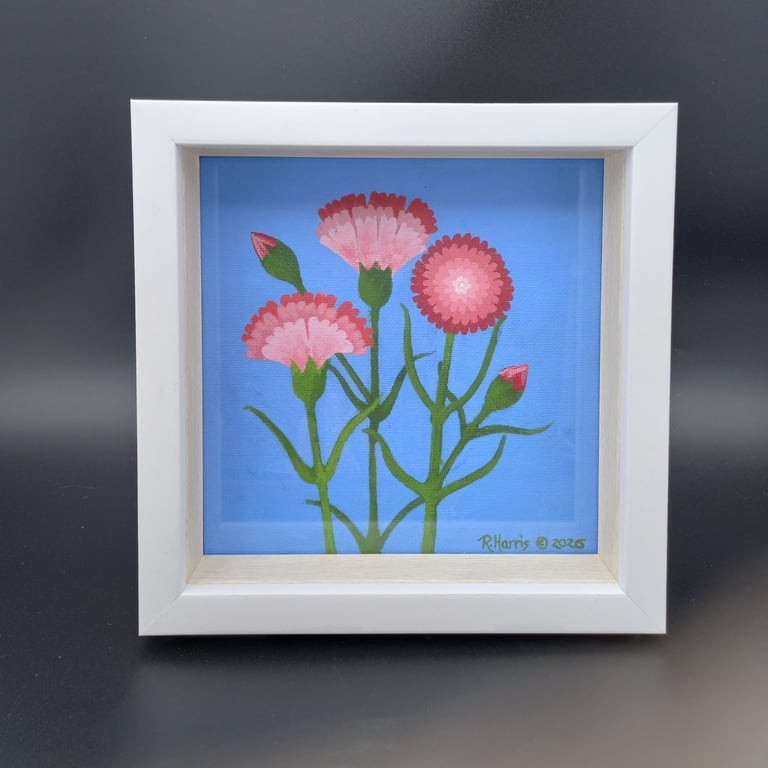 Carnations in Pink