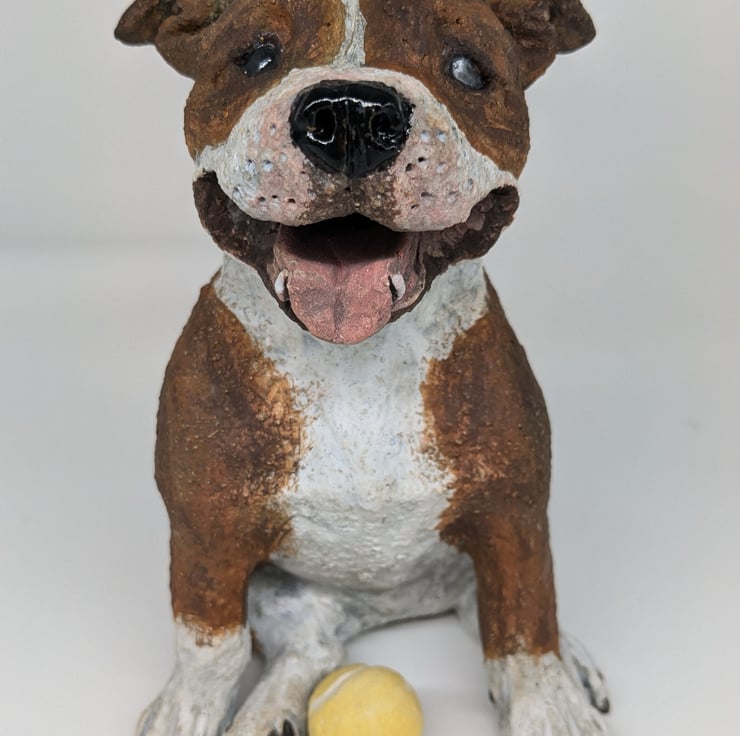 Staffy ball 2025