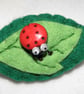Felt Leaf and Ladybird Badge - Image 4