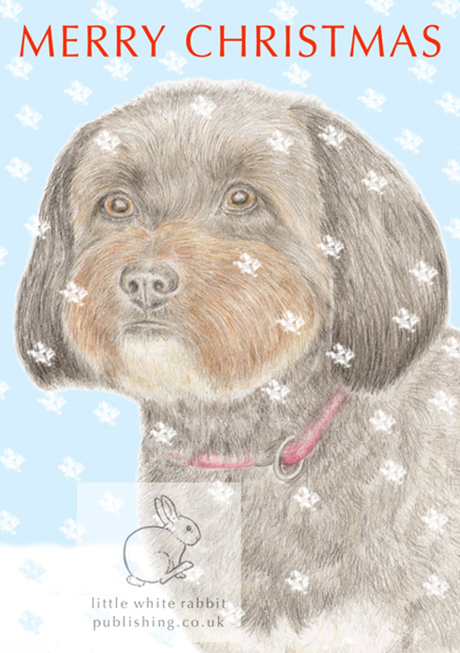Min the Poodle Cross - Christmas Card