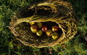 lovers of nature - little gifts to treasure under £40