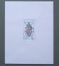 Original Mini Print Beetle  - Image 2