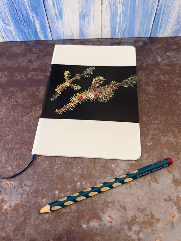 Notebook, Marine themed, A5 (ish), made from up-cycled and recycled materials.