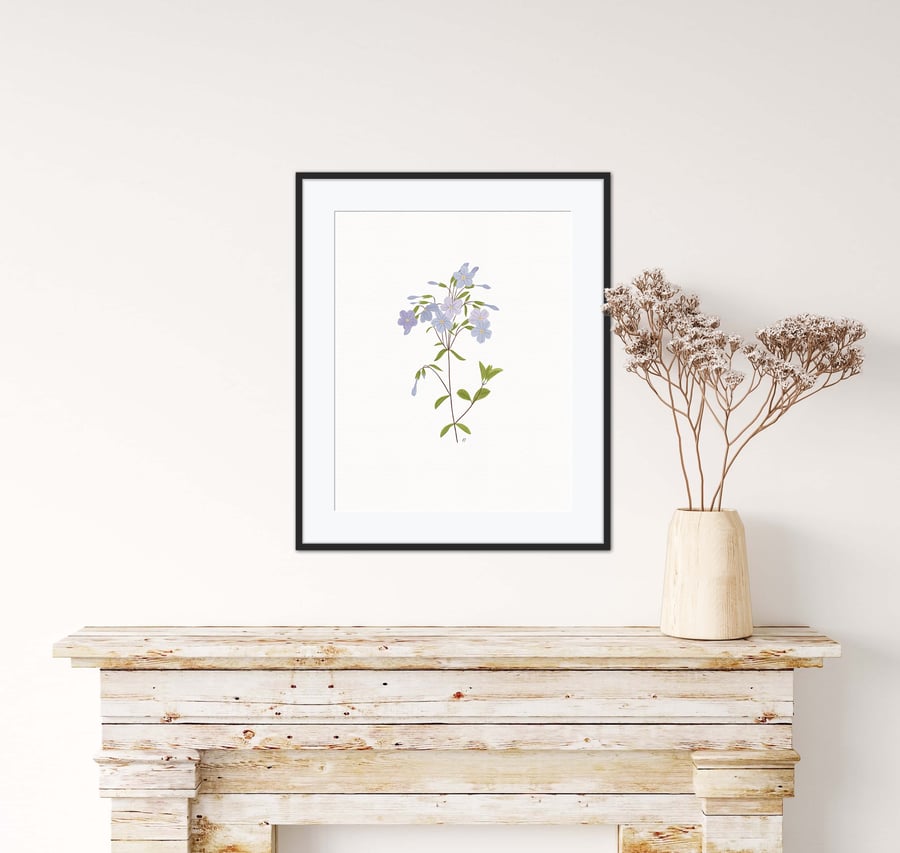 Dainty Little Lilac Flower Illustration Art Print