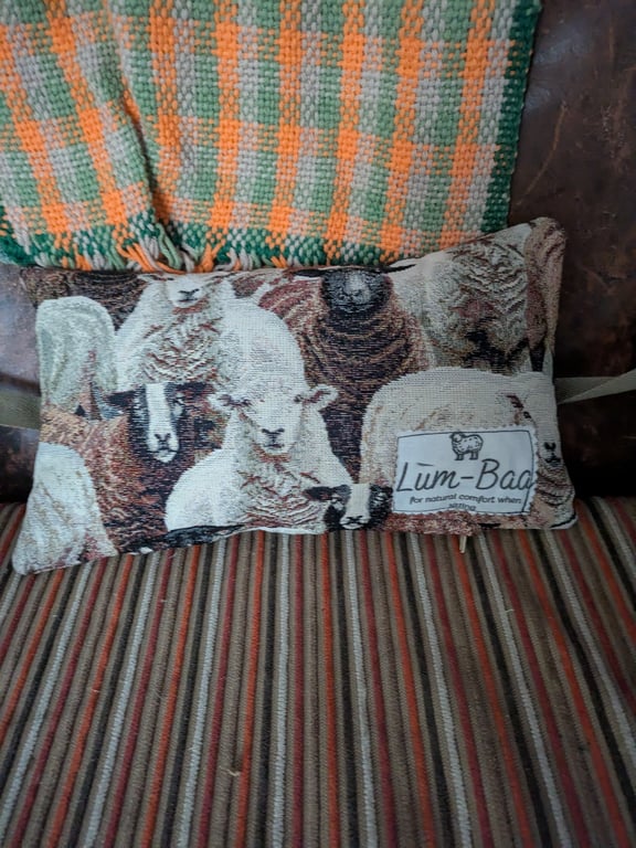 Ideal Small of Your Back cushion, with British Sheep's Wool