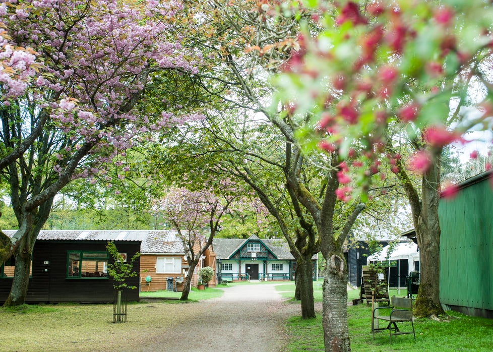 Rural Life Living Museum