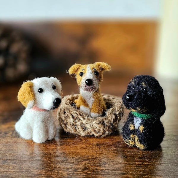 Custom needle felted dog mini model.
