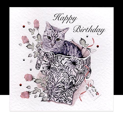 Happy Birthday Elmer a Playful Cat. 