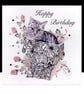Happy Birthday Elmer a Playful Cat.  - Image 1