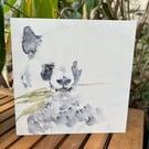 Panda Greetings Card