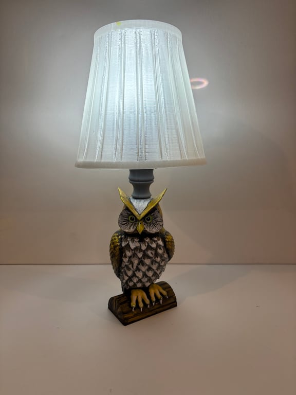 A hand painted and sealed owl lamp by Andrew Jenkins 