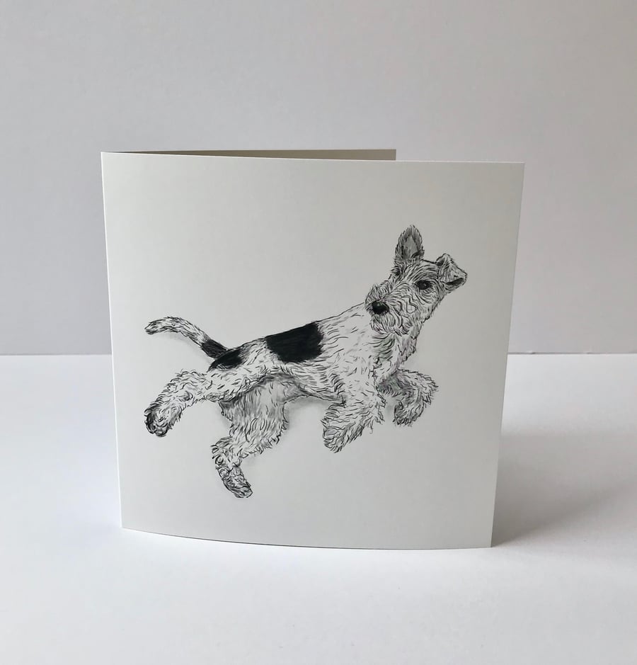 Fox Terrier Lying Down Card