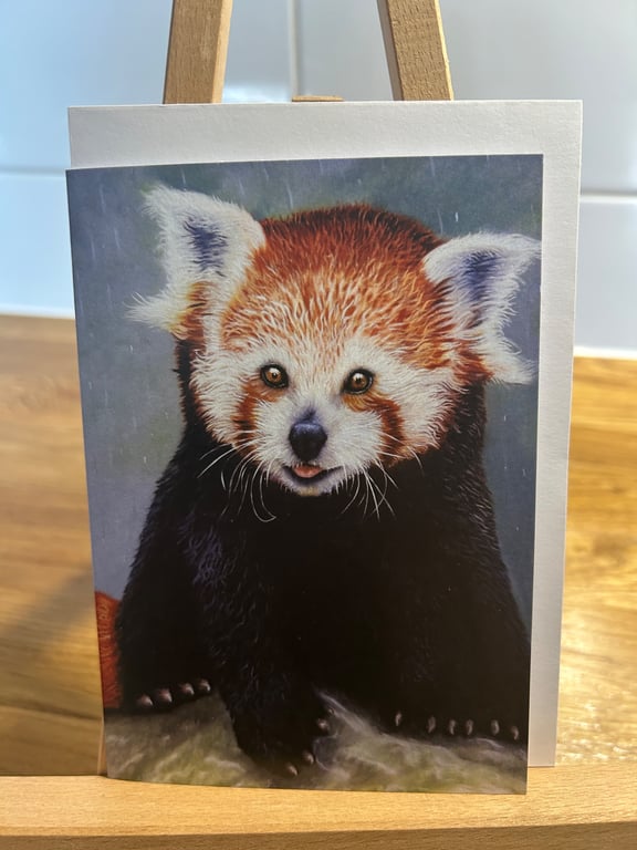 Small Red Panda Card