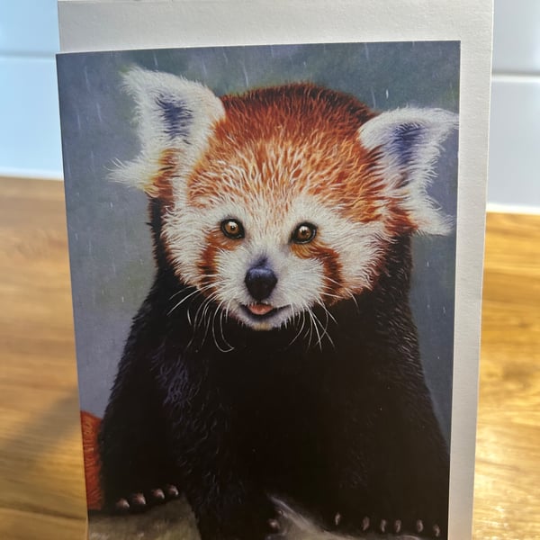 Small Red Panda Card
