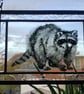 Racoon - Image 1
