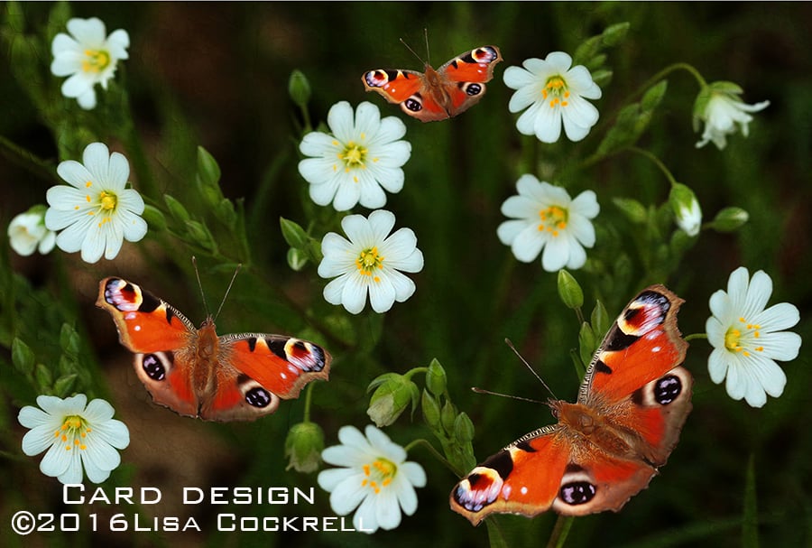 Exclusive Handmade Woodland Butterflies Greetings Card