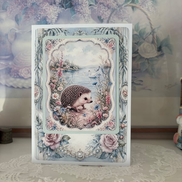 Greeting Card - Hedgehog - C286