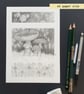 Pencil drawings 1 - fly agaric mushrooms, poppy seed heads and camomile flowers - Image 3
