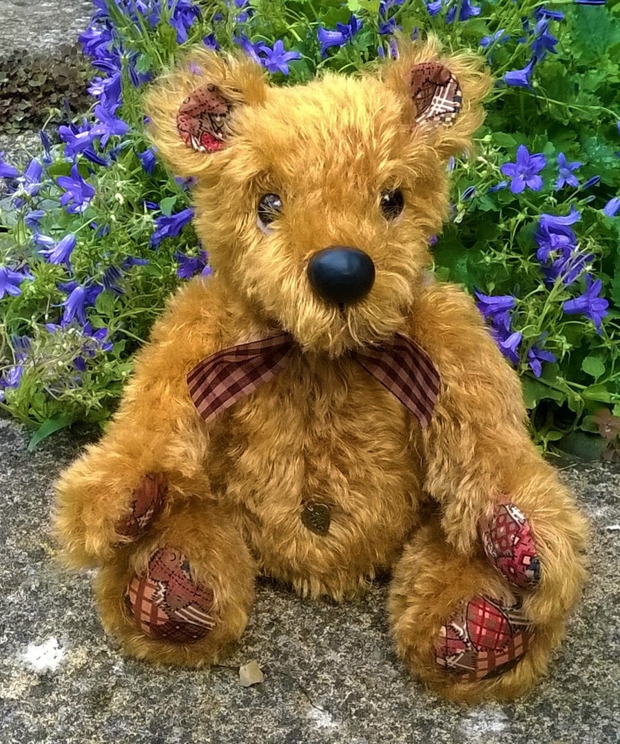 'Angus' a singing bear