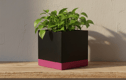 Medium Plant Pots
