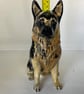 Personalised German Shepherd Dog salt and pepper shakers.(large 17cm high) - Image 8