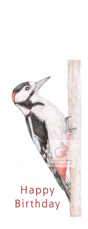 Woodpecker - Birthday Card