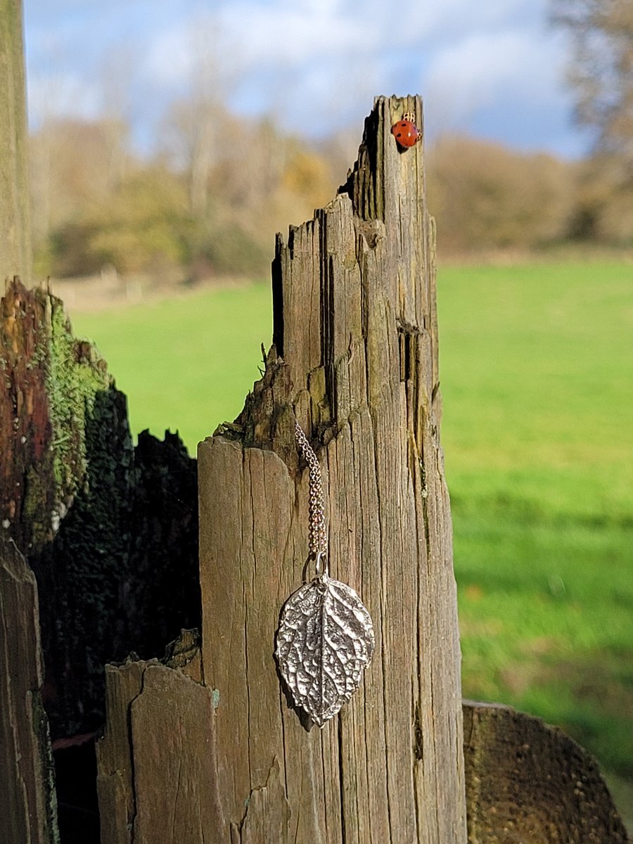 Silver Moroccan Mint Leaf Necklace