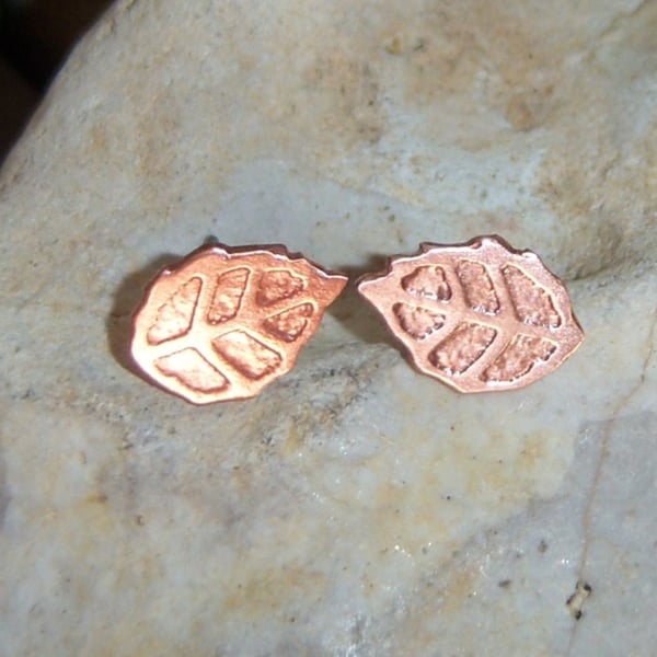 Leaf studs in etched copper