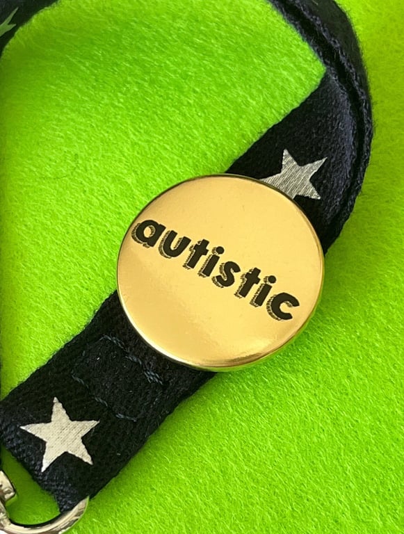 Gold metallic Autistic badge, pocket pebble, magnet or keyring. 