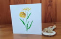 Cards - natural (dried, pressed, stencilled)