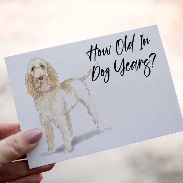 Spinone Dog Birthday Card, Dog Birthday Card, Personalized