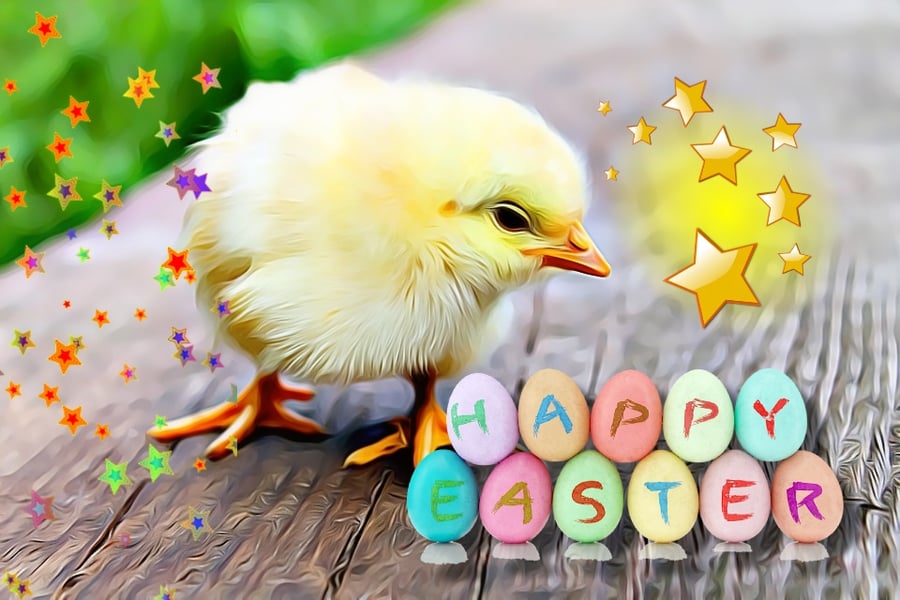 Happy Easter Chick Card A5 