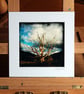 Annies Tree, Archival photo print 13 x 13cm in 7 x 7inch mount.