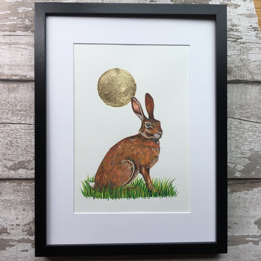 Hare with glittering summer sun