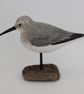 Dunlin on driftwood - Image 4